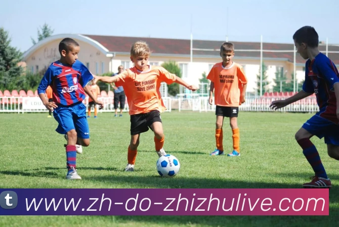 蜘蛛直播APP 封面图